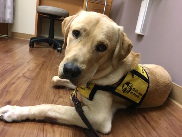 /Images/uploads/International Guiding Eyes Inc/gdapawsitivitycalendar/entries/20780thumb.jpg